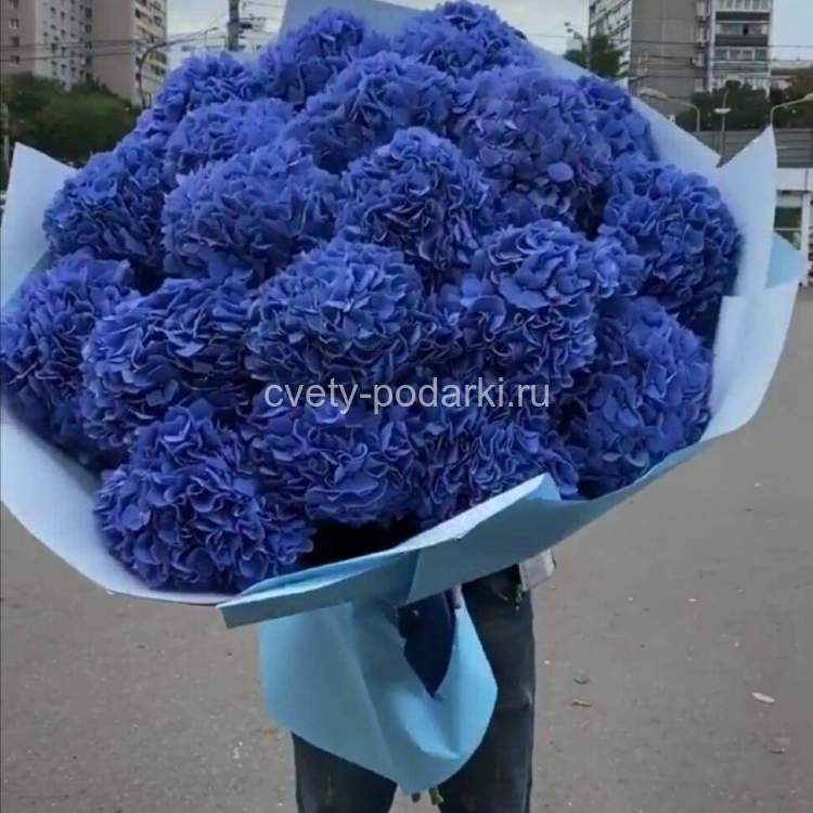 Букет гортензий «Синий океан» 